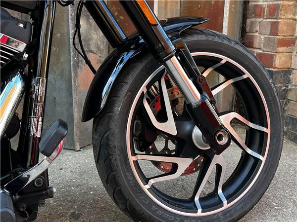 2021 Harley-Davidson Softail