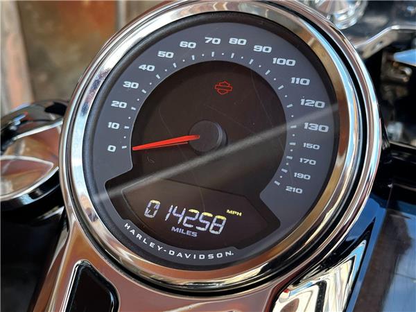 2021 Harley-Davidson Softail