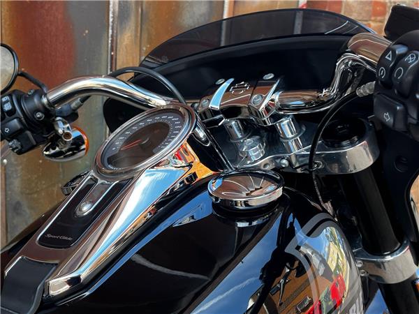 2021 Harley-Davidson Softail
