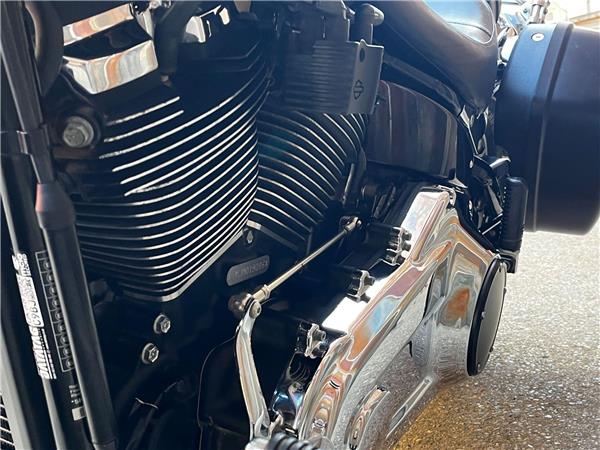 2021 Harley-Davidson Softail