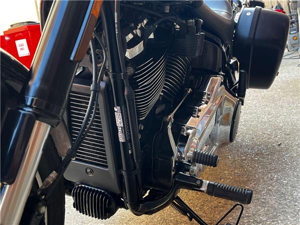 2021 Harley-Davidson Softail