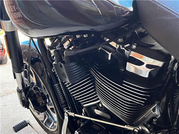 2021 Harley-Davidson Softail