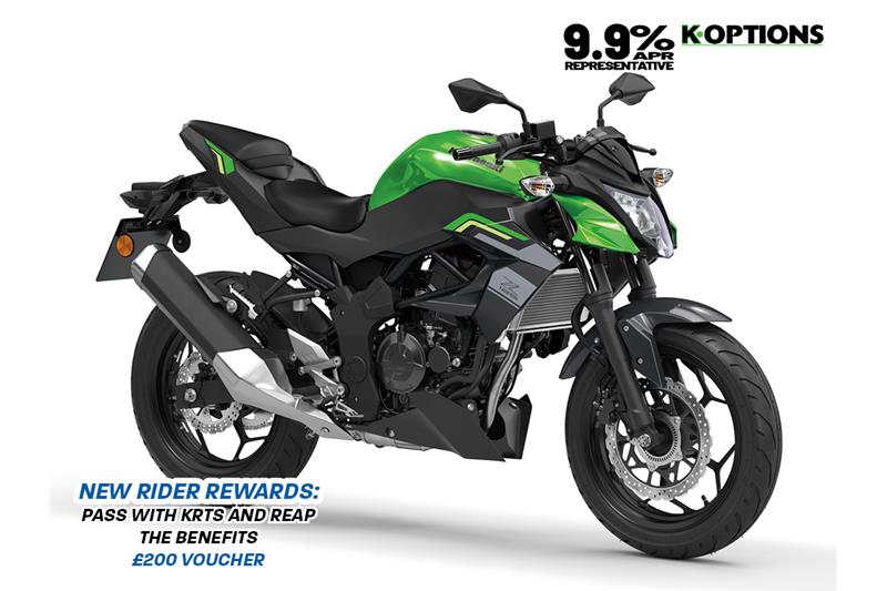 Candy Lime Green + Metallic Spark Black
