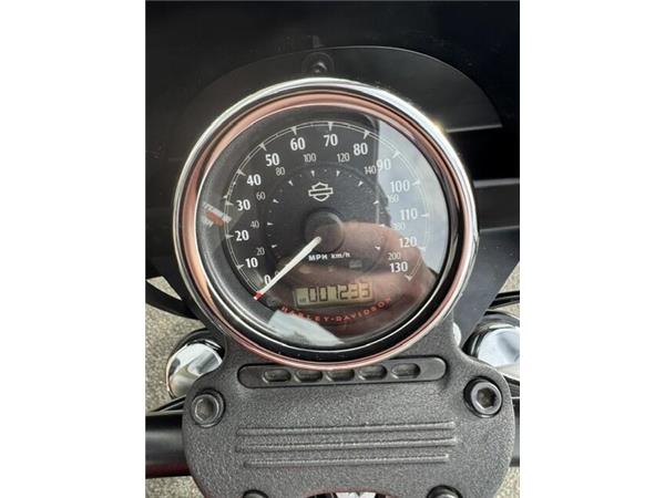 2019 Harley-Davidson Iron 1200