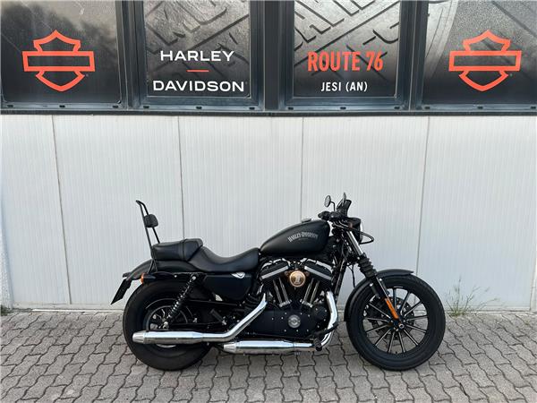 2014 Iron 883