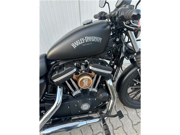 2014 Iron 883