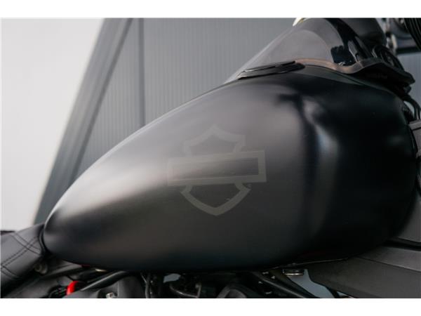 2019 Harley-Davidson Fat Bob 114