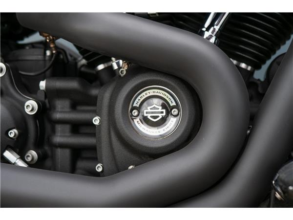 2019 Harley-Davidson Fat Bob 114