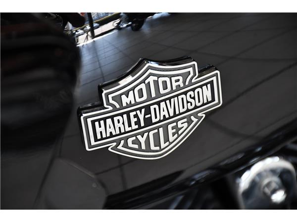 2024 HARLEY-DAVIDSON ROAD GLIDE SPECIAL