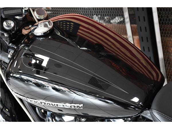 2022 HARLEY-DAVIDSON SOFTAIL FXBRS BREAKOUT 114
