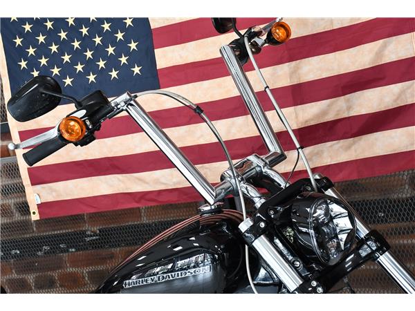 2022 HARLEY-DAVIDSON SOFTAIL FXBRS BREAKOUT 114