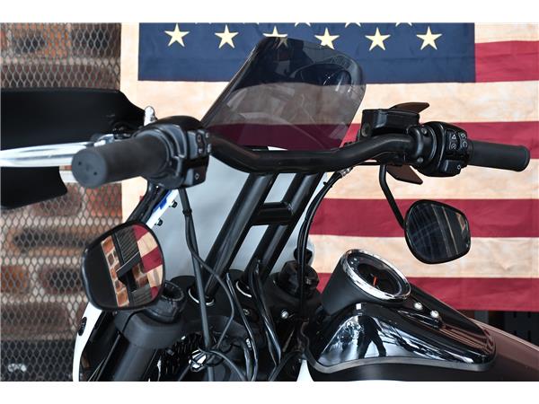 2018 HARLEY-DAVIDSON SOFTAIL FXFB FAT BOB