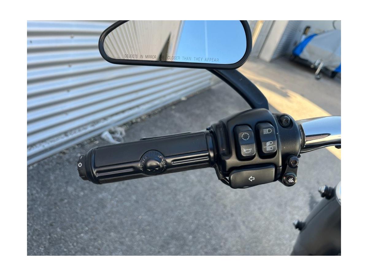 2019 Harley-Davidson Softail Fat Boy 114 FLFBS