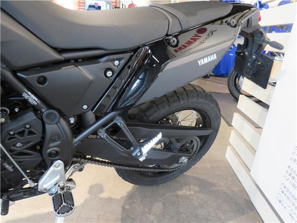 YAMAHA TENERE 700 WORLD RAID