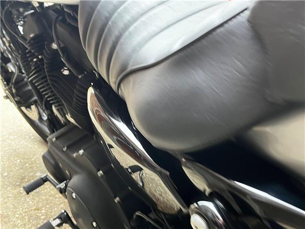 2020 Harley-Davidson Sportster