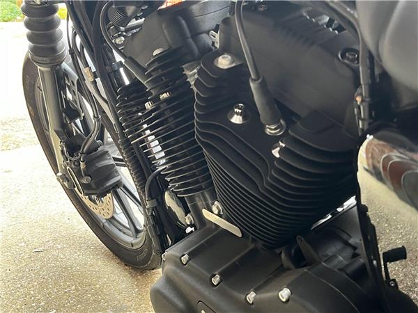 2020 Harley-Davidson Sportster
