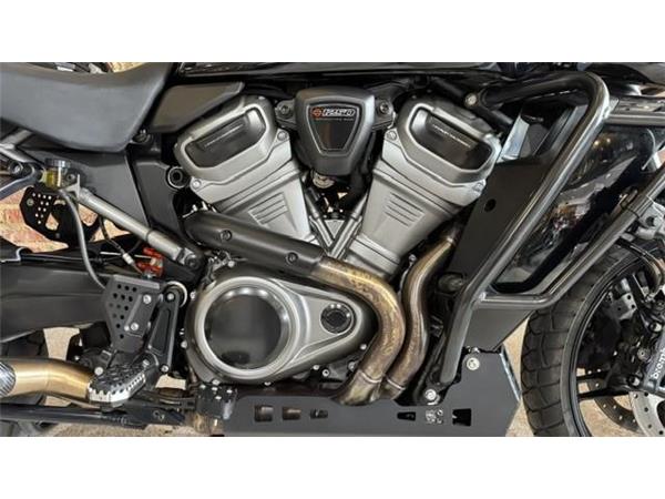 2021 Harley-Davidson Pan America Special