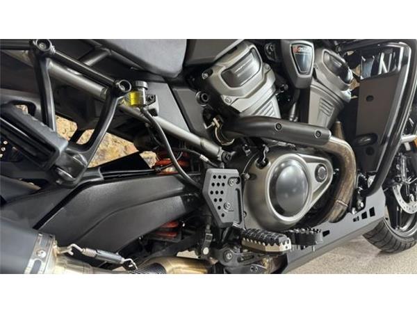 2021 Harley-Davidson Pan America Special