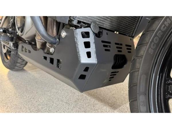 2021 Harley-Davidson Pan America Special