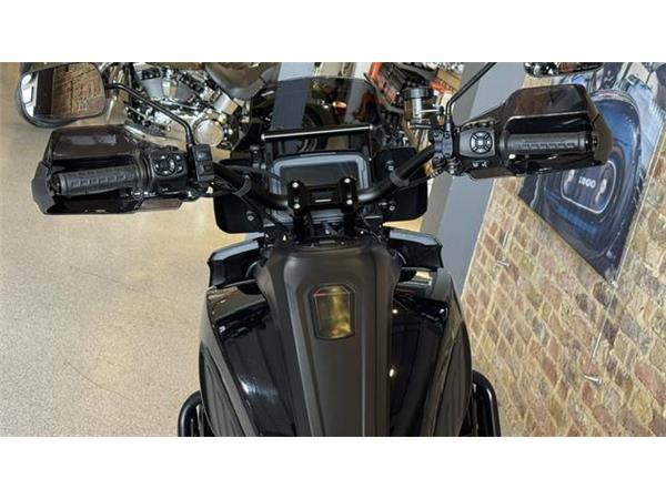 2021 Harley-Davidson Pan America Special
