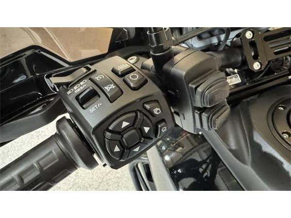 2021 Harley-Davidson Pan America Special