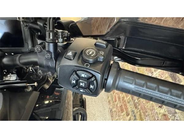 2021 Harley-Davidson Pan America Special