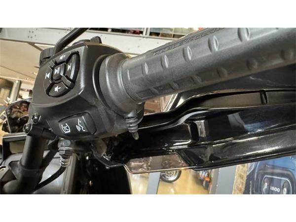 2021 Harley-Davidson Pan America Special