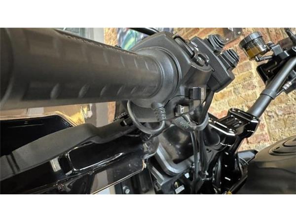 2021 Harley-Davidson Pan America Special