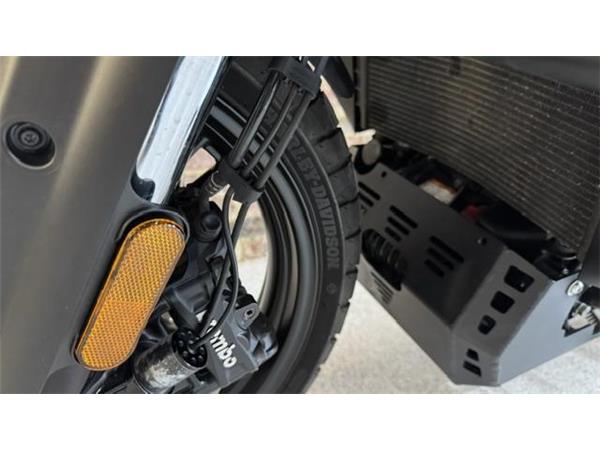 2021 Harley-Davidson Pan America Special