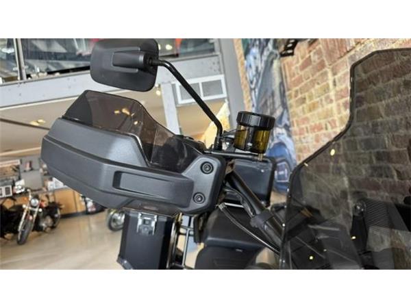 2021 Harley-Davidson Pan America Special