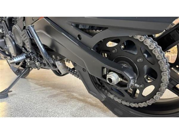 2021 Harley-Davidson Pan America Special
