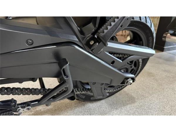 2021 Harley-Davidson Pan America Special