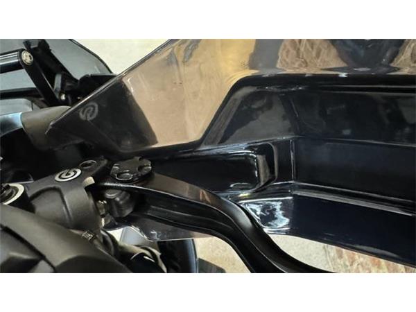 2021 Harley-Davidson Pan America Special
