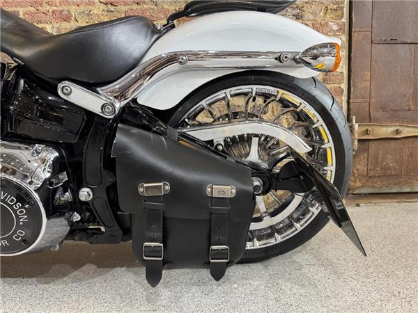 2016 Harley-Davidson Softail