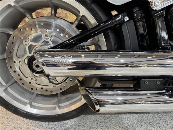 2025 Harley-Davidson Softail