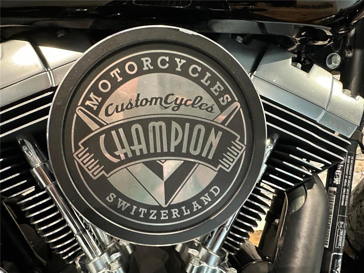 2013 harley-davidson FLSTFB Fat Boy Special ABS