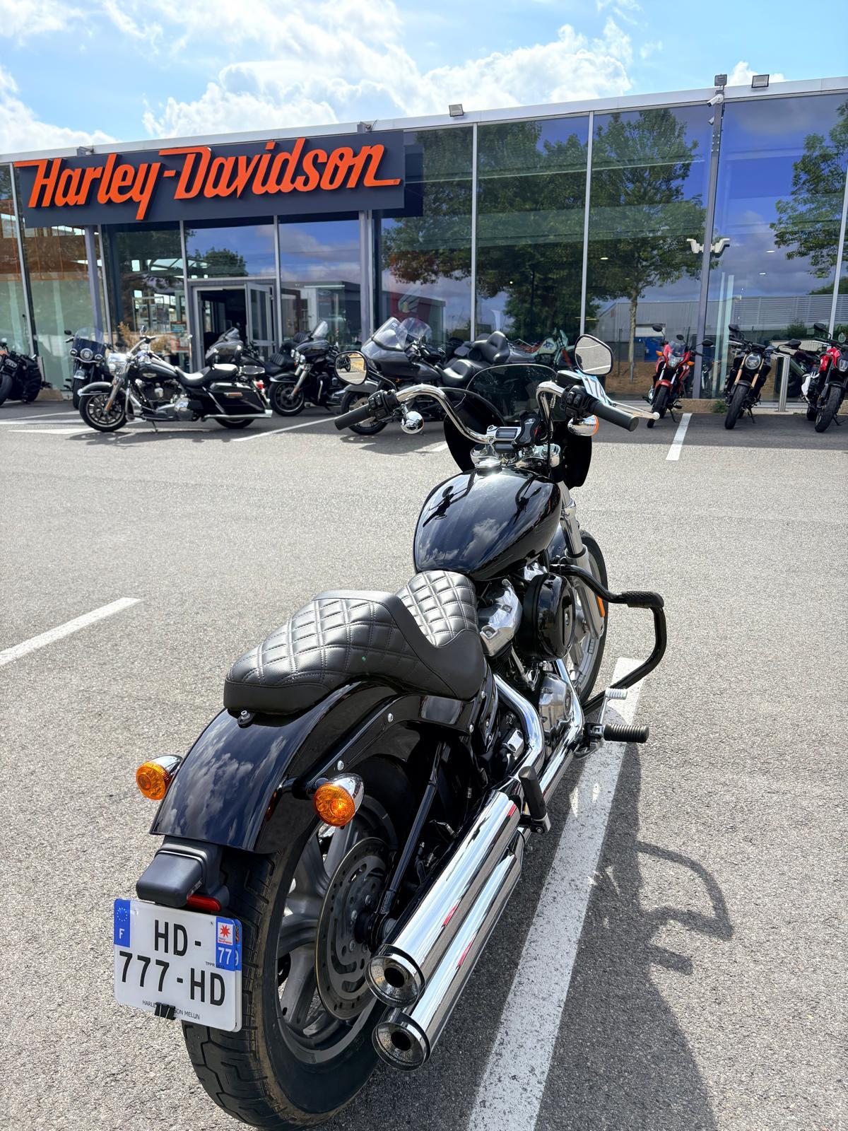 2022 HARLEY-DAVIDSON STANDARD