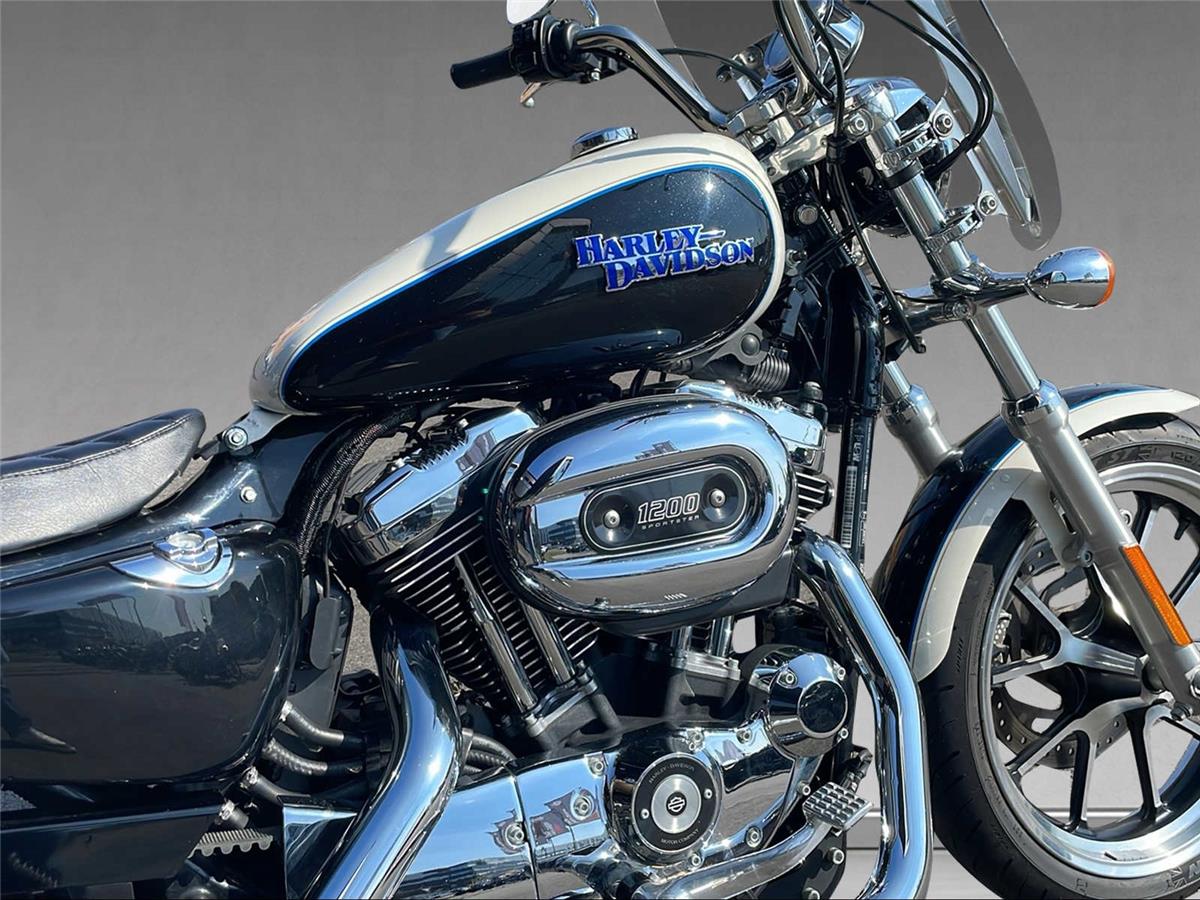 2014 harley-davidson Super Low XL 1200 T ABS