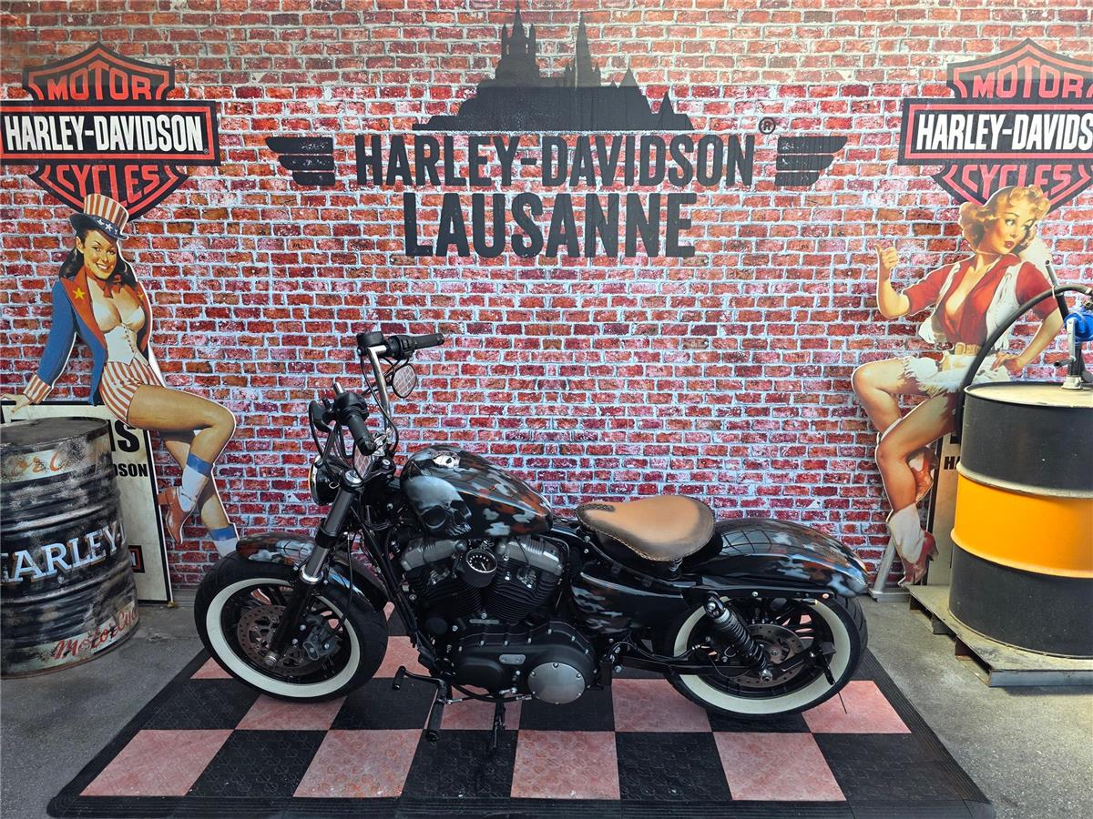 2016 harley-davidson XL 1200 X Forty Eight ABS