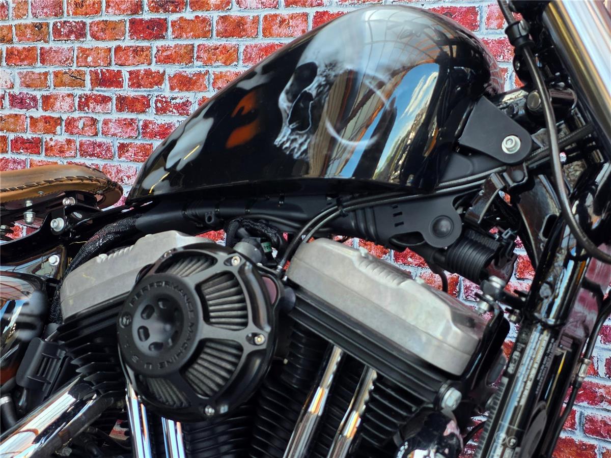 2016 harley-davidson XL 1200 X Forty Eight ABS