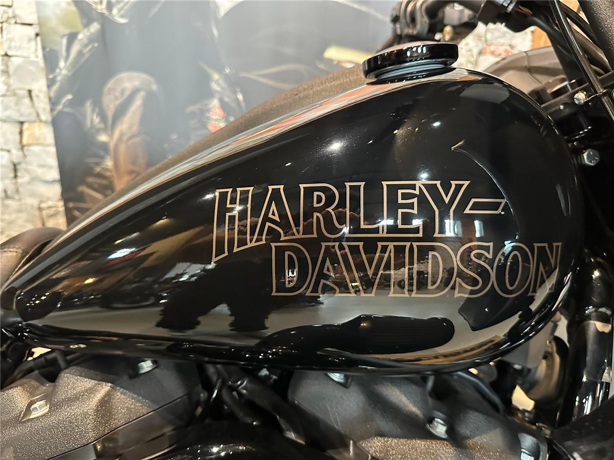 2023 harley-davidson Low Rider ST 117ci