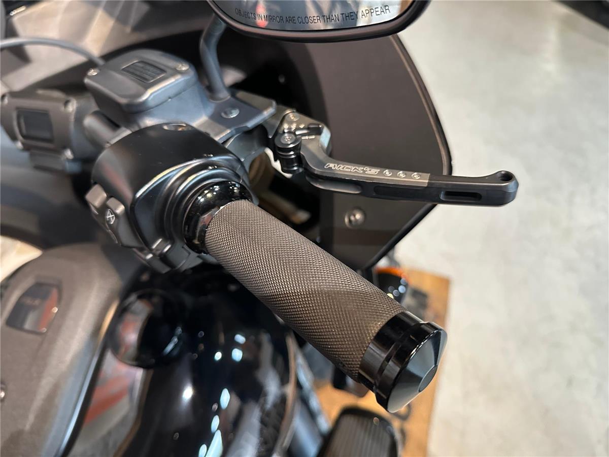 2023 harley-davidson Low Rider ST 117ci