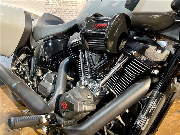 2026 Harley-Davidson Softail