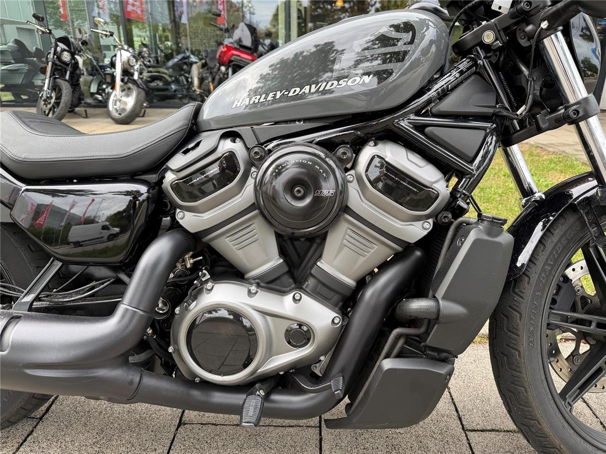 Sportster Nightster RH975 MY22