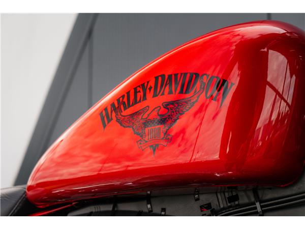 2018 Harley-Davidson Iron 883