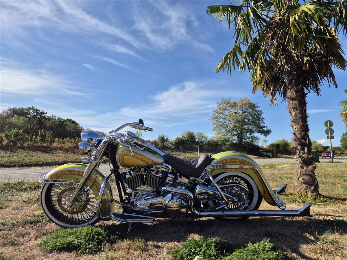 2017 HARLEY-DAVIDSON DELUXE