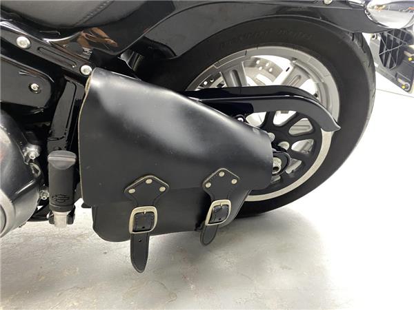 2023 Harley-Davidson Softail Standard