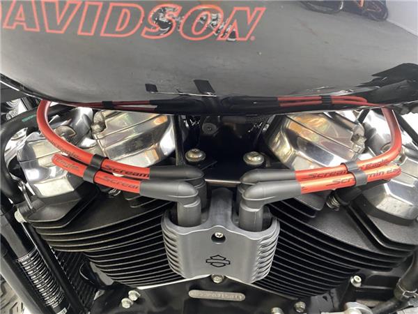 2023 Harley-Davidson Softail Standard