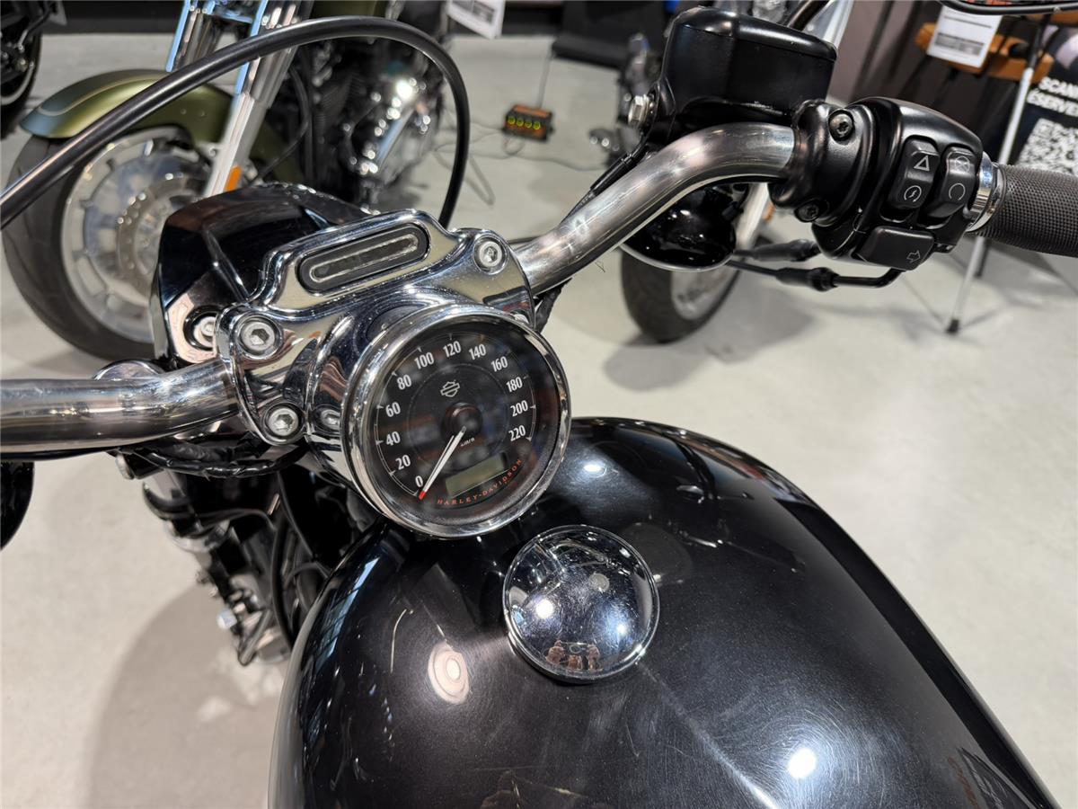 2018 HARLEY-DAVIDSON CUSTOM