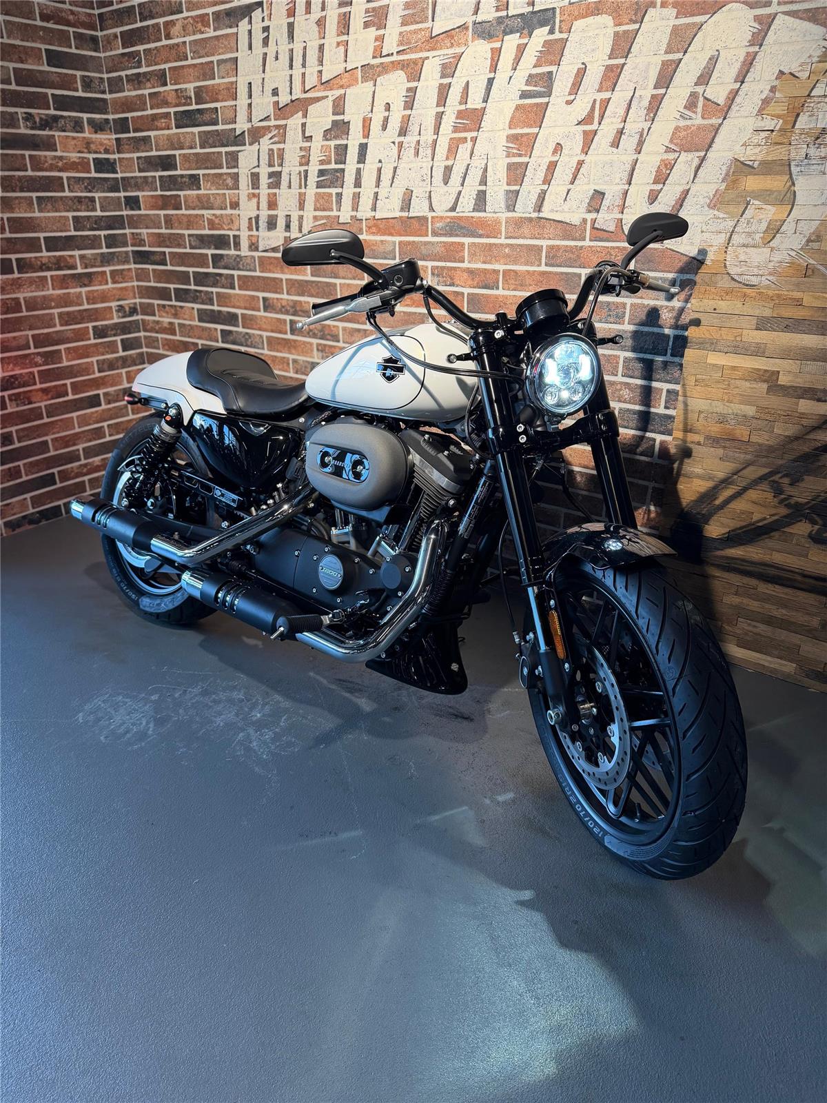 2019 harley-davidson XL 1200 CX Sportster Roadster ABS